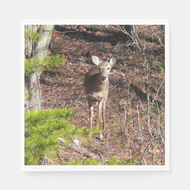 Servilleta De Papel Ciervo Adorable en la Naturaleza Fotografía de Bos (Anverso)