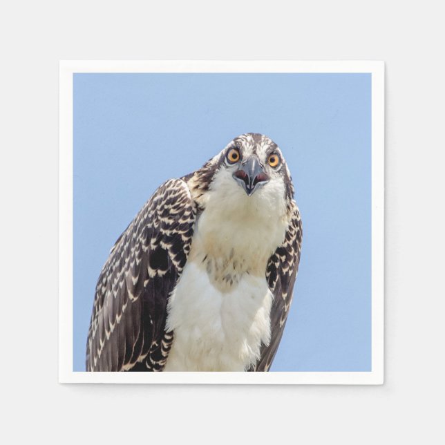 Servilleta De Papel Clausura de una orgía juvenil (Anverso)