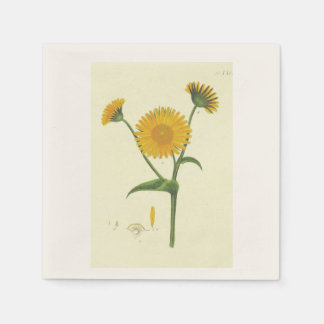 Servilleta De Papel Cocktail Napkin