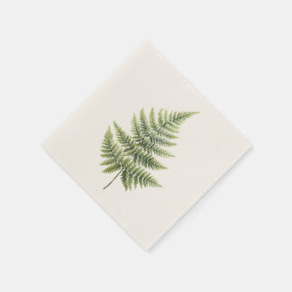 Servilleta De Papel Cocktail Napkin - Elegante Diseño Fern