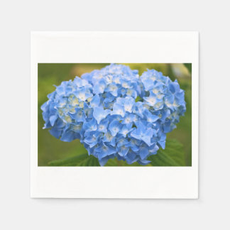 Servilleta De Papel Cocktail Napkin Hydrangea