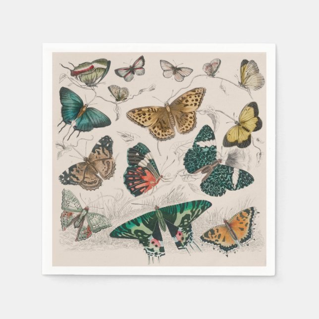 Servilleta De Papel Colección de mariposa Mariposas antiguas (Anverso)