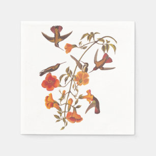 Servilleta De Papel Colibrí de manglar con flores Naranjas