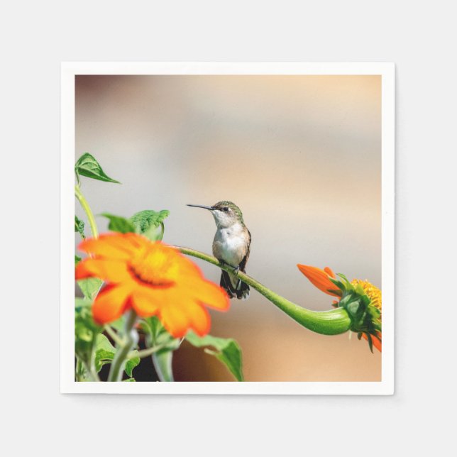 Servilleta De Papel Colibrí en una planta floreciente (Anverso)