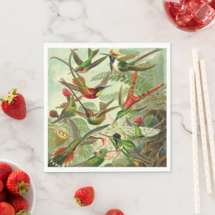 Servilleta De Papel Colibríes de Ernst Haeckel