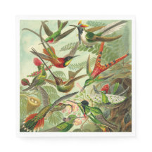 Colibríes de Ernst Haeckel