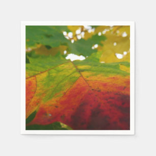 Servilleta De Papel Colores de la fotografía de la naturaleza otoñal d