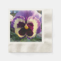 colorido resorte Pansy