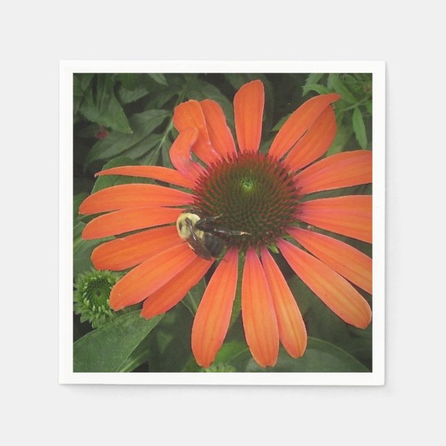 Servilleta De Papel Cone Flower Napkin (Anverso)