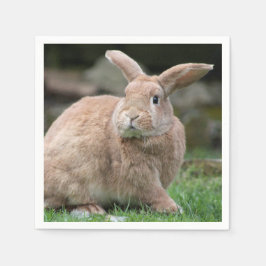 Servilleta De Papel Conejo de jengibre con orejas grandes