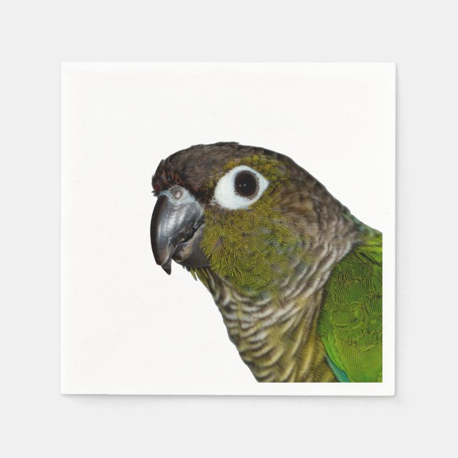 Servilleta De Papel Conure verde barato (Anverso)