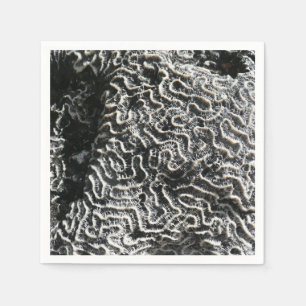 Servilleta De Papel Coral negro y blanco I Foto abstracta de la natura