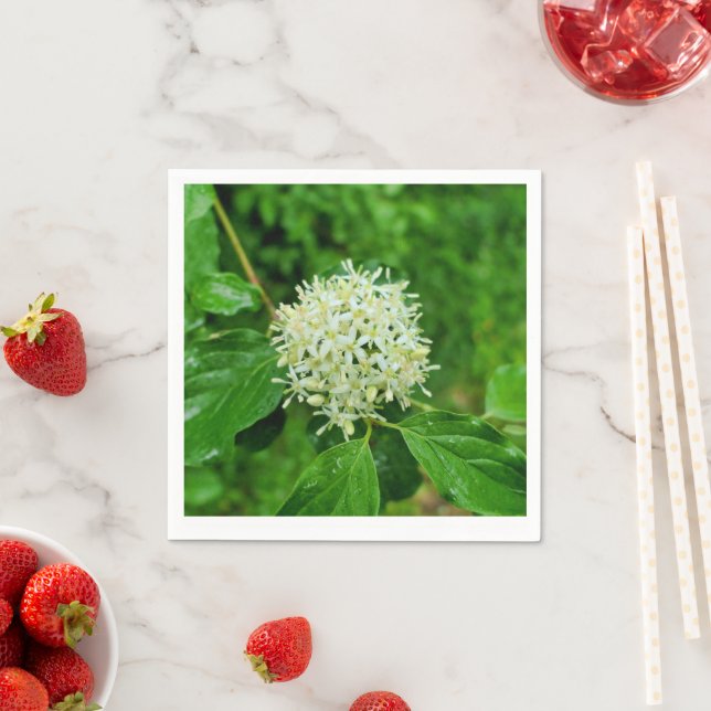 Servilleta De Papel Cornus sanguinea Paper (In situ)