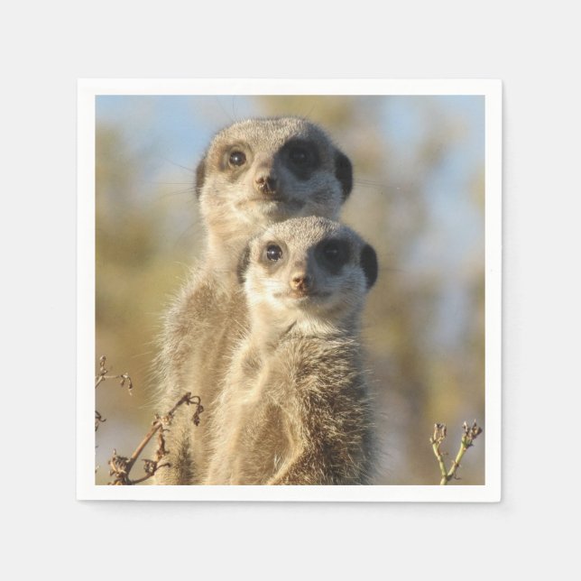 Servilleta De Papel Couple of Meerkats Photo (Anverso)