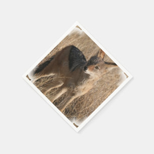 Servilleta De Papel Coyote
