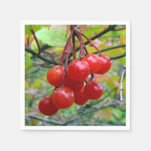 Servilleta De Papel Cranberries