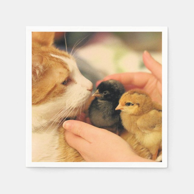 Servilleta De Papel Cuadros (Anverso)