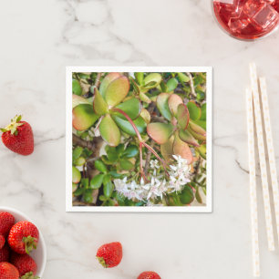 Servilleta De Papel Cuadros de papel Crassula ovata