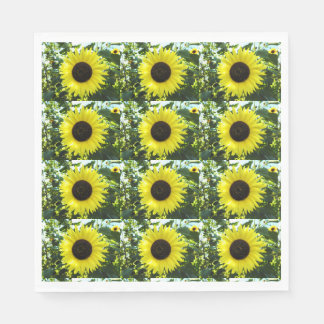 Servilleta De Papel Cuadros de papel para la Sensación de girasol