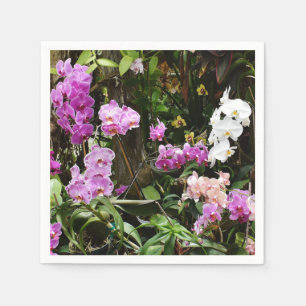 Servilleta De Papel Cuadros de papel para orquídeas