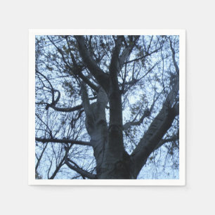 Servilleta De Papel Cuadros fotográficos de silueta de árbol