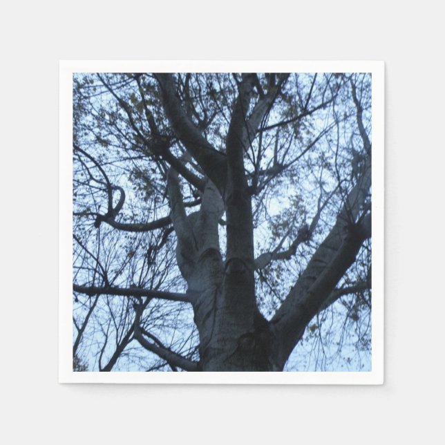 Servilleta De Papel Cuadros fotográficos de silueta de árbol (Anverso)