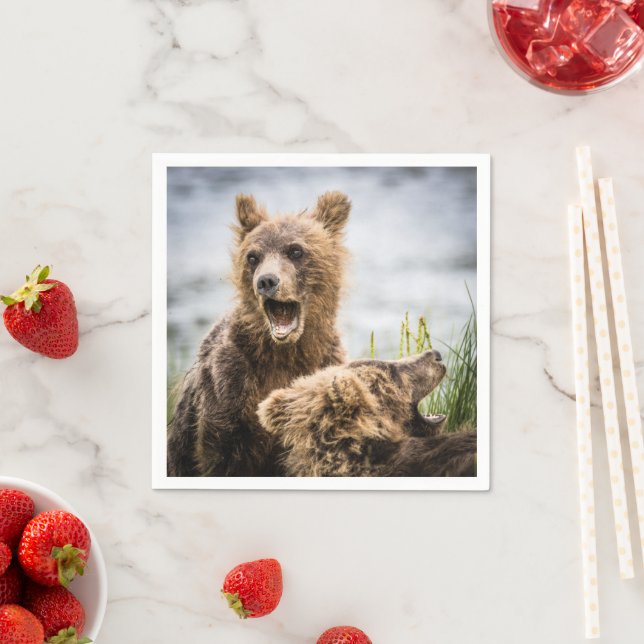 Servilleta De Papel Cubos Grizzly Buscando Su Mamá (In situ)