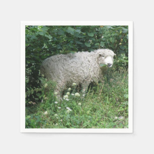 Servilleta De Papel Cuidados Blancos Fluffy Sheep Comiendo Napkins