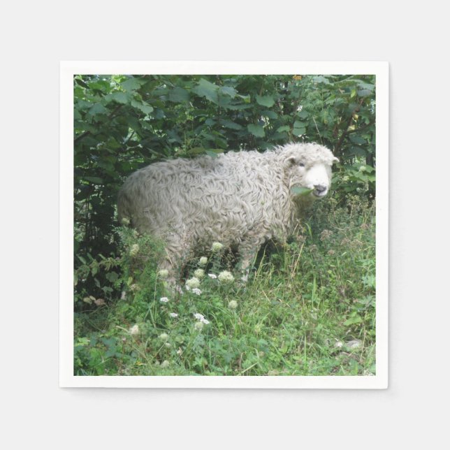 Servilleta De Papel Cuidados Blancos Fluffy Sheep Comiendo Napkins (Anverso)