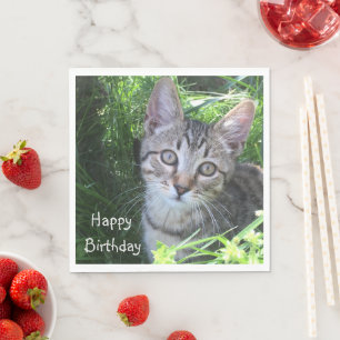 Servilleta De Papel Cumpleaños del Gray Tabby Cat