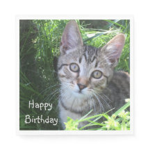 Cumpleaños del Gray Tabby Cat