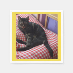 Servilleta De Papel Cute Dave Papkins