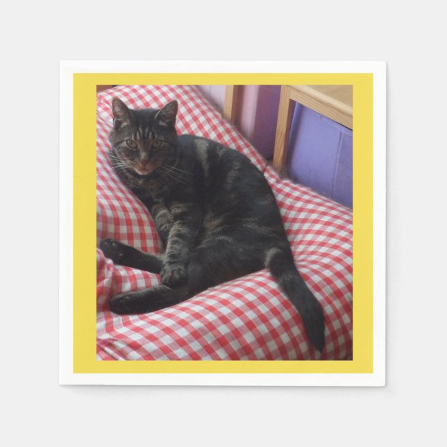 Servilleta De Papel Cute Dave Papkins (Anverso)