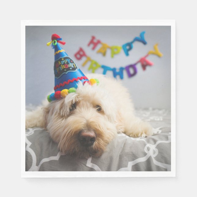 Servilleta De Papel Cute Dog Happy Birday Napkins (Anverso)