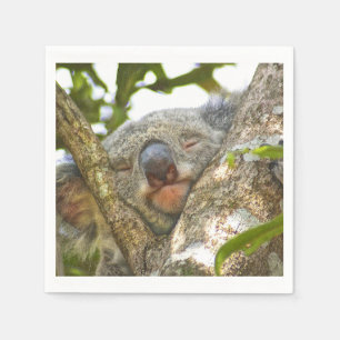 Servilleta De Papel Cute Koala Bear Napkins