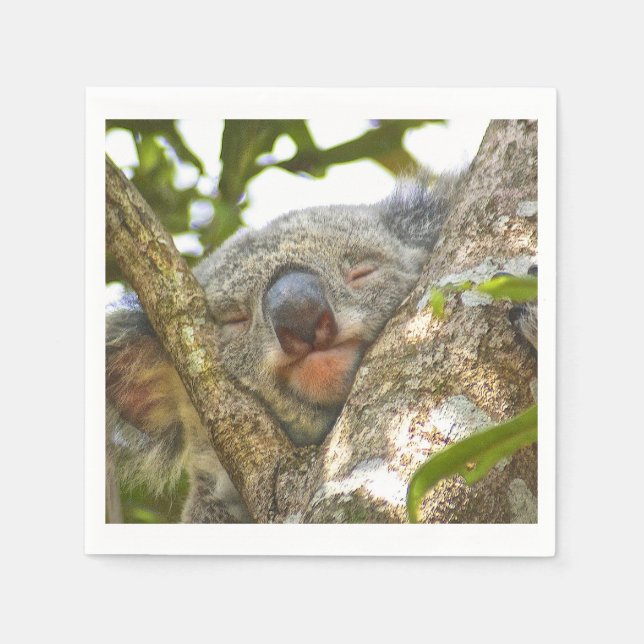 Servilleta De Papel Cute Koala Bear Napkins (Anverso)