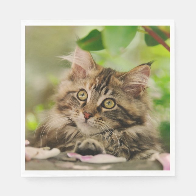 Servilleta De Papel Cute Maine Coon kitten (Anverso)