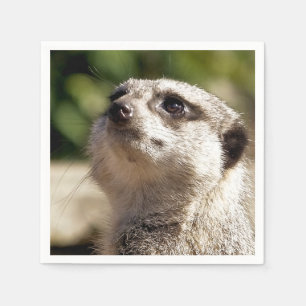 SERVILLETA DE PAPEL CUTE MEERKAT