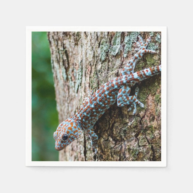Servilleta De Papel Cute Tokay Gecko Lizard (Anverso)