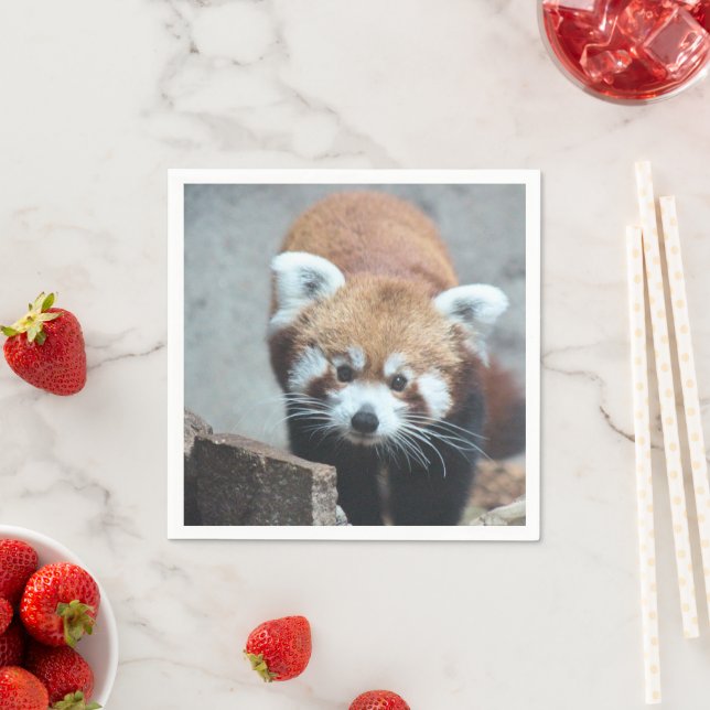 Servilleta De Papel Cuto (In situ)