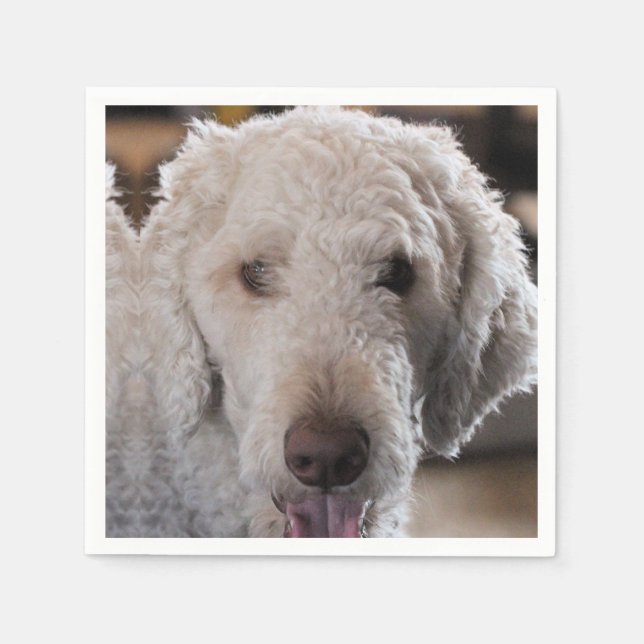 Servilleta De Papel Cuto (Anverso)