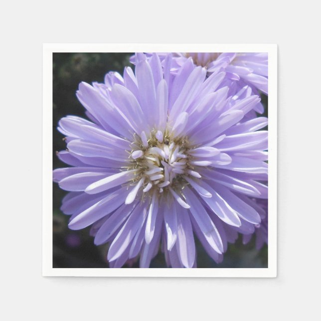 Servilleta De Papel Cyrene (Anverso)