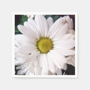 Servilleta De Papel *Daisy* Cocktail Fiesta Napkins