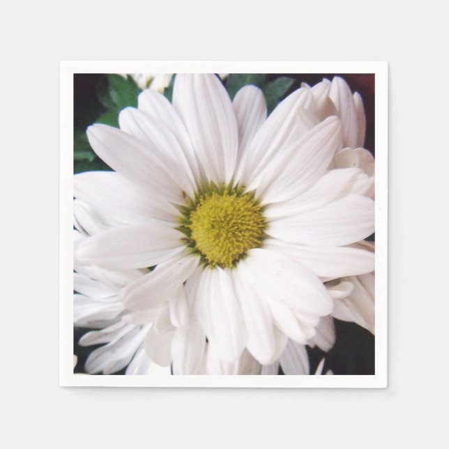 Servilleta De Papel *Daisy* Cocktail Fiesta Napkins (Anverso)