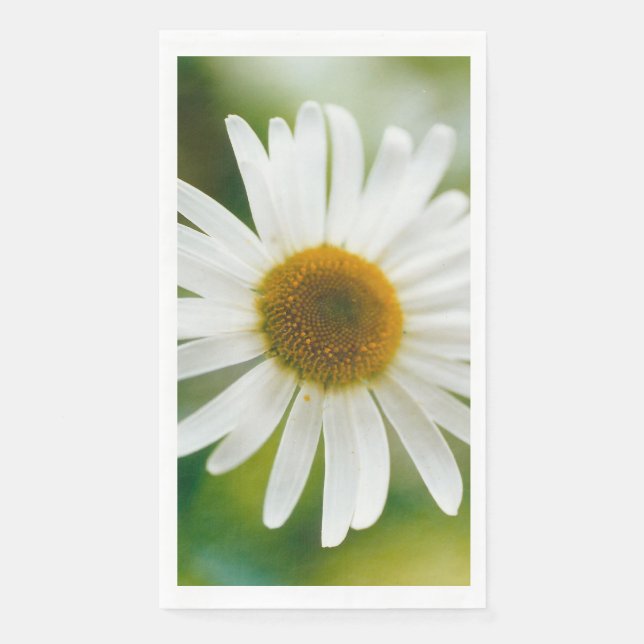 Servilleta De Papel Daisy de Oxeye blanco - Leucanthemum vulgare (Anverso)
