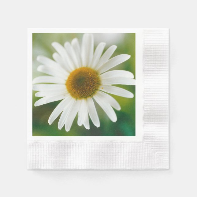 Servilleta De Papel Daisy de Oxeye blanco - Leucanthemum vulgare (Anverso)