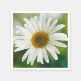 Servilleta De Papel Daisy de Oxeye blanco - Leucanthemum vulgare