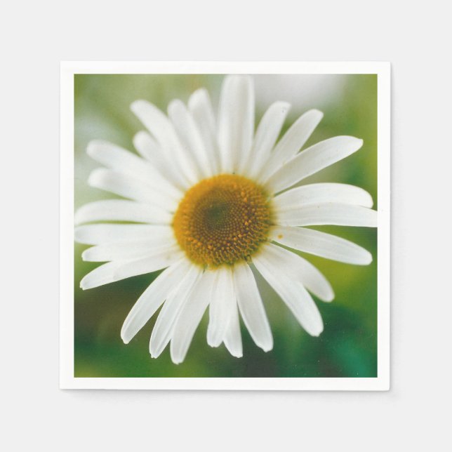 Servilleta De Papel Daisy de Oxeye blanco - Leucanthemum vulgare (Anverso)