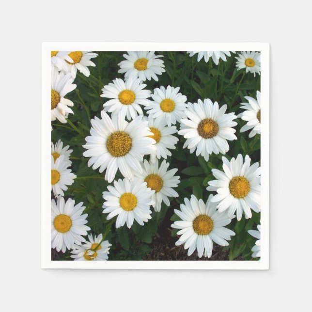 Servilleta De Papel Daisy Delight Napkins (Papel) (Anverso)