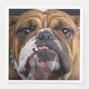 Servilleta De Papel De Cena Almohada de inglés bulldog
